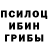 Псилоцибиновые грибы Psilocybe Shelly Fegter