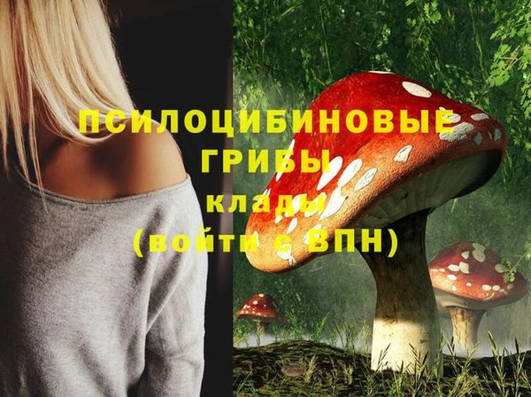 соль курить ск Арсеньев