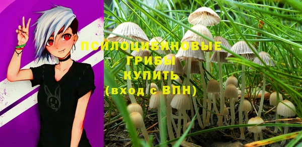 соль курить ск Арсеньев