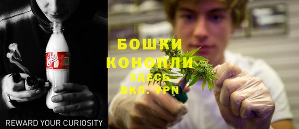 крисы Аркадак