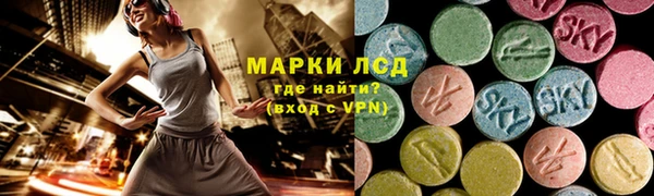 крисы Аркадак