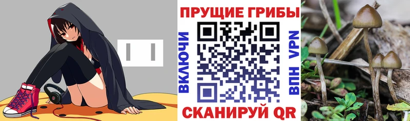 Псилоцибиновые грибы Magic Shrooms Орлов